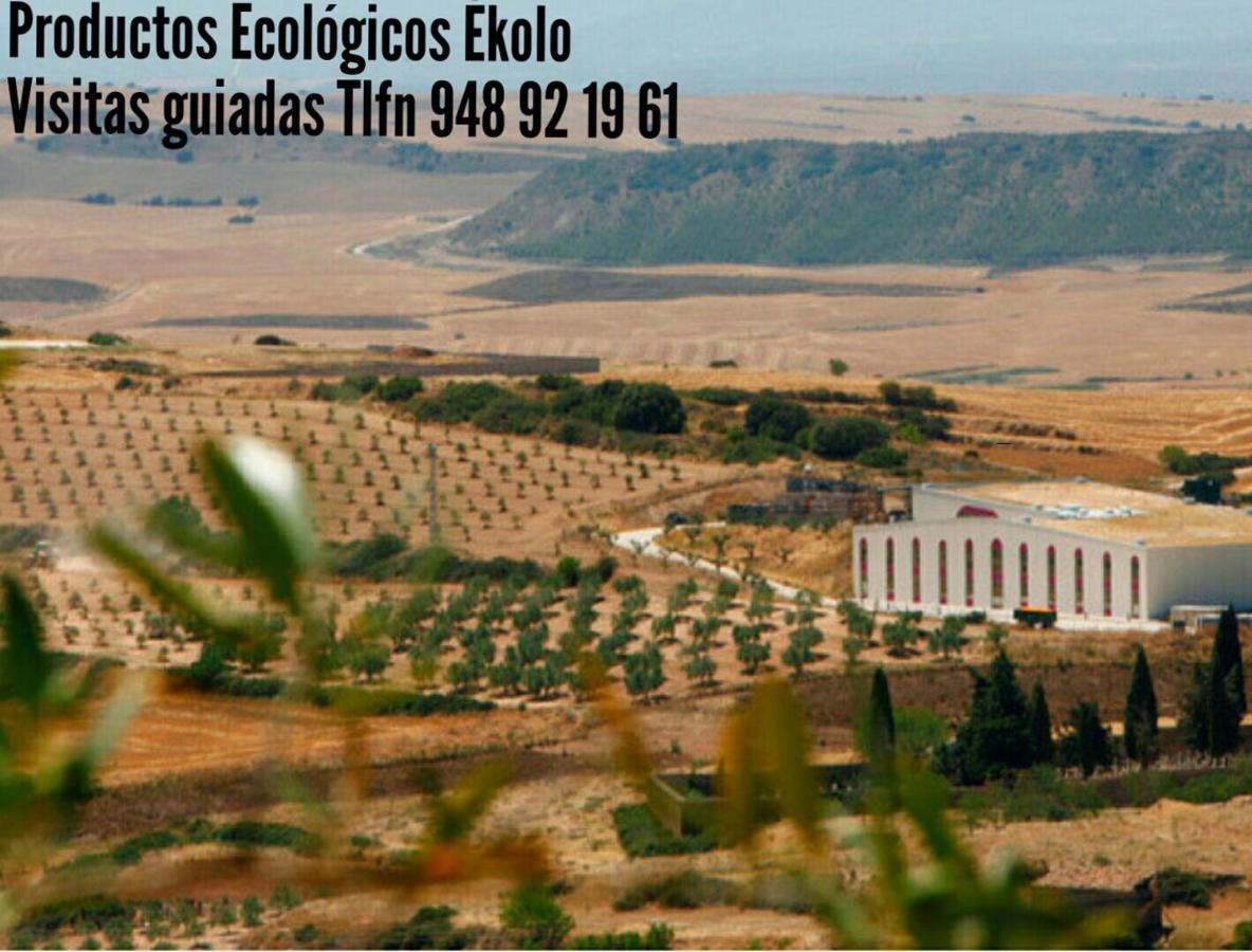 Greta Etxea Villa Arroniz Dış mekan fotoğraf
